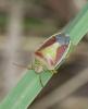240533 – Photo : alain Roujas – France (31)